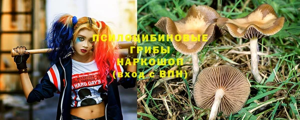 стафф Верея