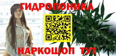 каннабис Гатчина