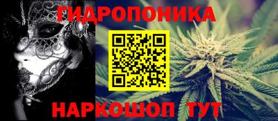 a pvp Гай