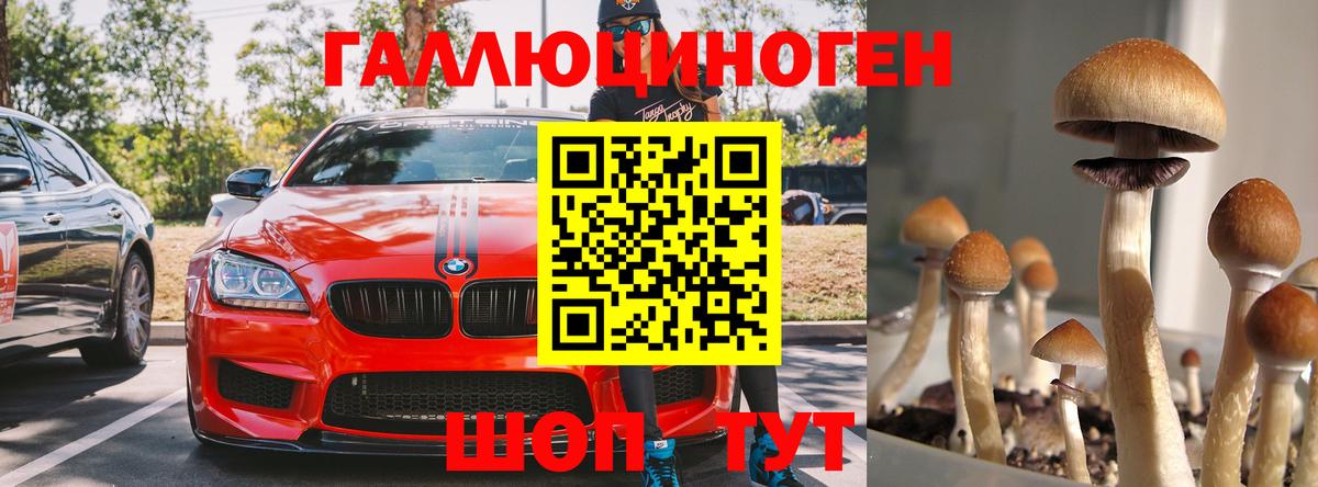 Галлюциногенные грибы MAGIC MUSHROOMS Гусь-Хрустальный