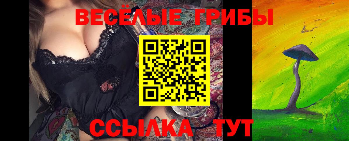 Галлюциногенные грибы прущие грибы  Гусь-Хрустальный 